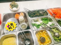 -油梨树 AVOCADO TREE(亮马桥店)