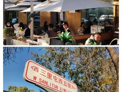 -三里屯东五街银杏大道