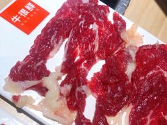 新鲜肥牛-牛很鲜潮汕牛肉火锅(朝晖路店)