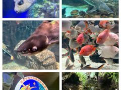 -太平洋海底世界