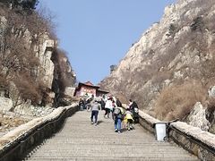 -赵记煎饼卷大葱(东岳店)