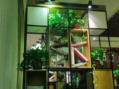 -意卡菲·欢乐聚会餐厅(华侨店)