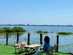 -七的湖·晚芳亭·阳澄湖农家菜·大闸蟹(莲花岛店)