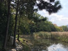 -长广溪湿地公园