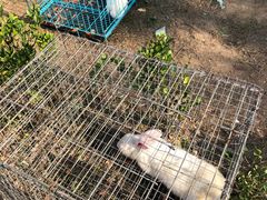 -宿豫区运河湾森林动物园