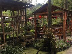 -青城甲(青城山店)