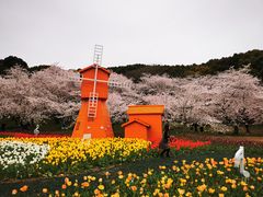 -苏州上方山国家森林公园