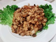 八珍豆腐-大铁勺新津菜(东丽阳光新业广场店)