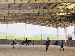 -松声马术俱乐部