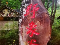 -野象谷景区