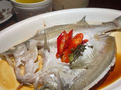 -绿茶餐厅(华联万柳店)