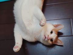 -风荷云墅