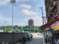 -黄鹤楼公园(黄鹤楼)