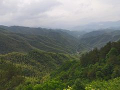 -四明山国家森林公园
