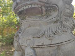 -高旻寺