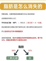 -Fundi张玉珊修身堂·indiba·BTL科技瘦身