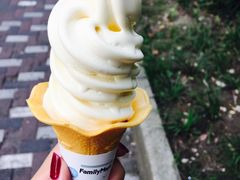 -全家便利店(中原二店)