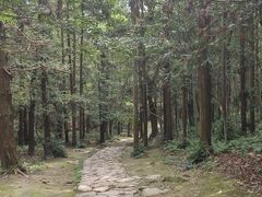 -冶父山国家森林公园