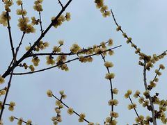 -塔子山公园