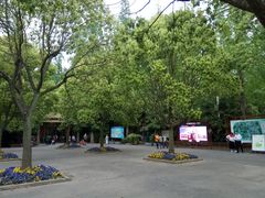 -崇明东平国家森林公园烧烤房车露营地