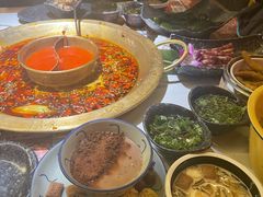 -哥老官重庆美蛙鱼头(松江地中海十八哥店)
