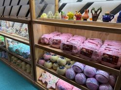 -宝燕乐园(春申店)