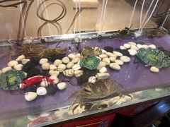 -常熟理文铂尔曼酒店