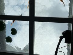 -蜜舍咖啡(洋人街店)