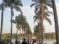 -南宁南湖公园