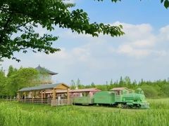 -长田漾湿地公园
