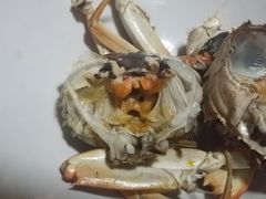 -喜洋洋蟹庄(阳澄湖店)