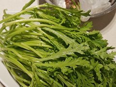 -蝎王府羊蝎子(北大地店)