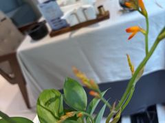 -狮王府淮扬菜(夫子庙老门东店)