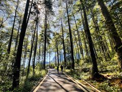 -重庆睡佛山森林公园