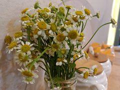 -红小满休闲餐厅(十全街店)