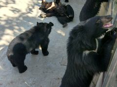 -西安秦岭野生动物园