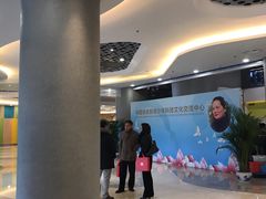 -中国宋庆龄青少年科技文化交流中心