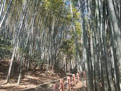 -敬亭山风景名胜区