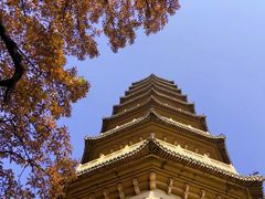 -灵谷景区