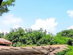 -灵玲国际马戏城