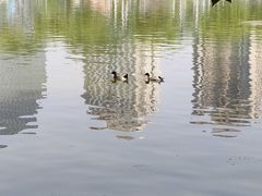 -团结湖公园