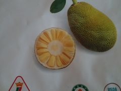 -沃尔玛购物广场(仓山万达店)