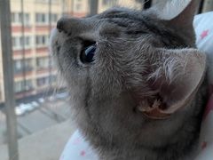 -美联众合24小时·皮肤科·外科·全科诊疗中心(华苑分院)