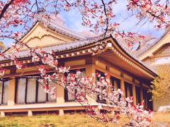 -醍醐寺