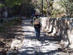 -大岭沟猕猴桃谷风景区