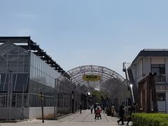 -北戴河集发农业梦想王国