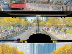 -洲头咀公园