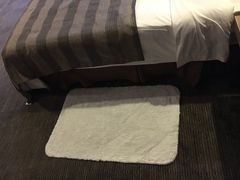 -苏州西交利物浦大学国际会议中心