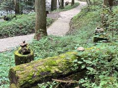 -上色见熊野座神社