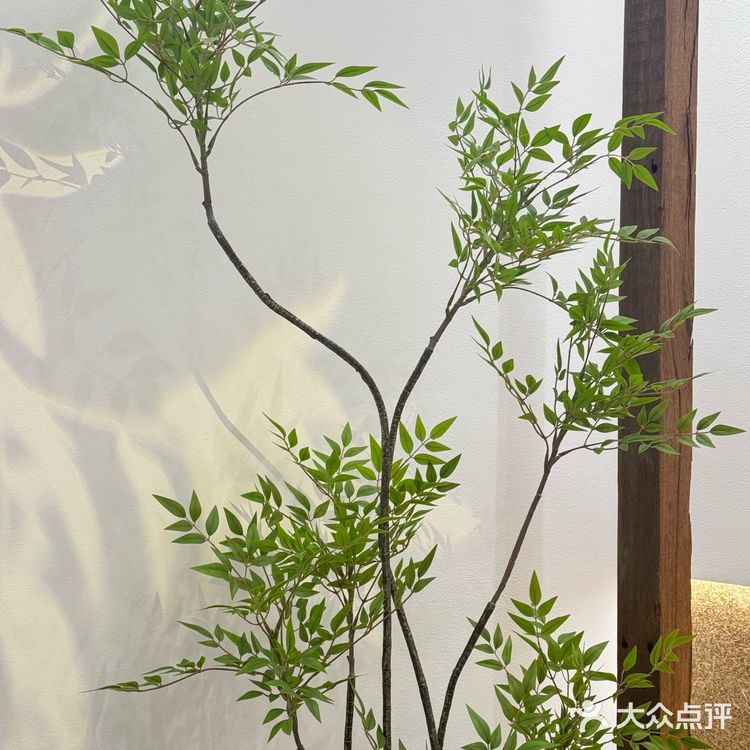 重庆李山山终于开业啦